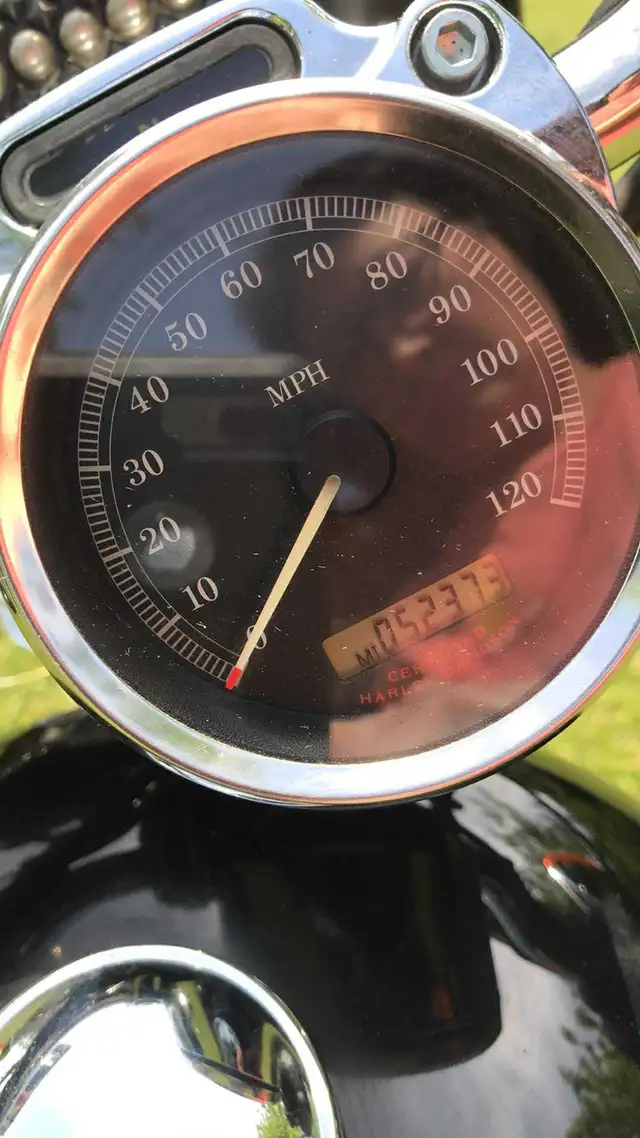 2005 Harley Sportster with extras in Street, Cruisers & Choppers in Oshawa / Durham Region - Image 6
