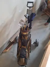 Complete Set of Golf Clubs with Bag
