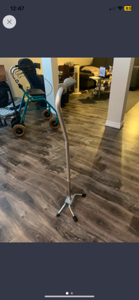 Stand up adjustable cane