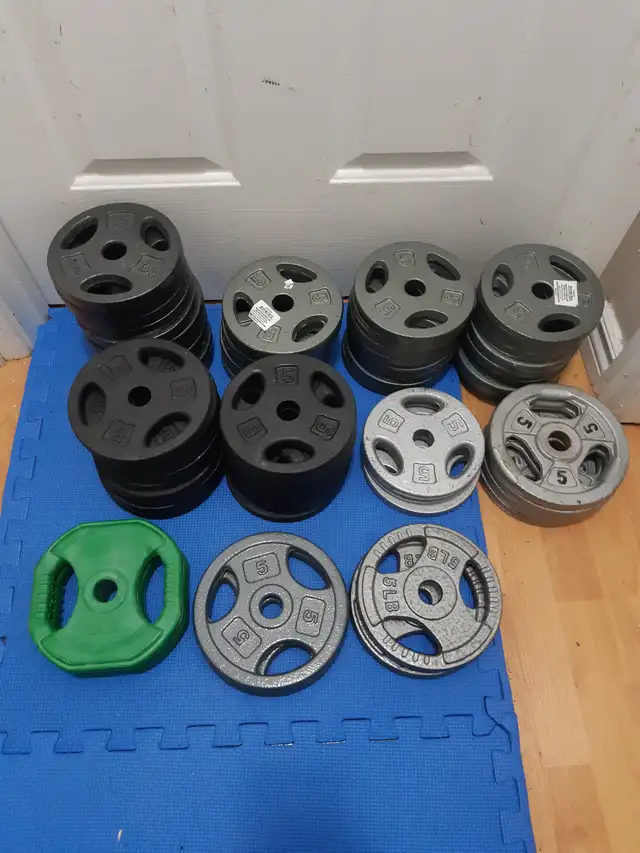 standard weight plates w/ handles ($1.45/lbs) in Exercise Equipment in Delta/Surrey/Langley - Image 3