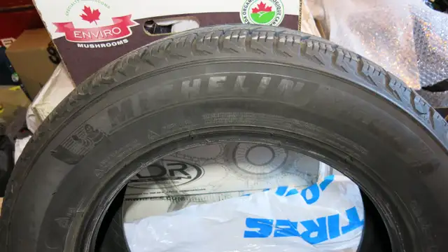 Winter Tire (1x225/60R17) in Tires & Rims in Ottawa - Image 2
