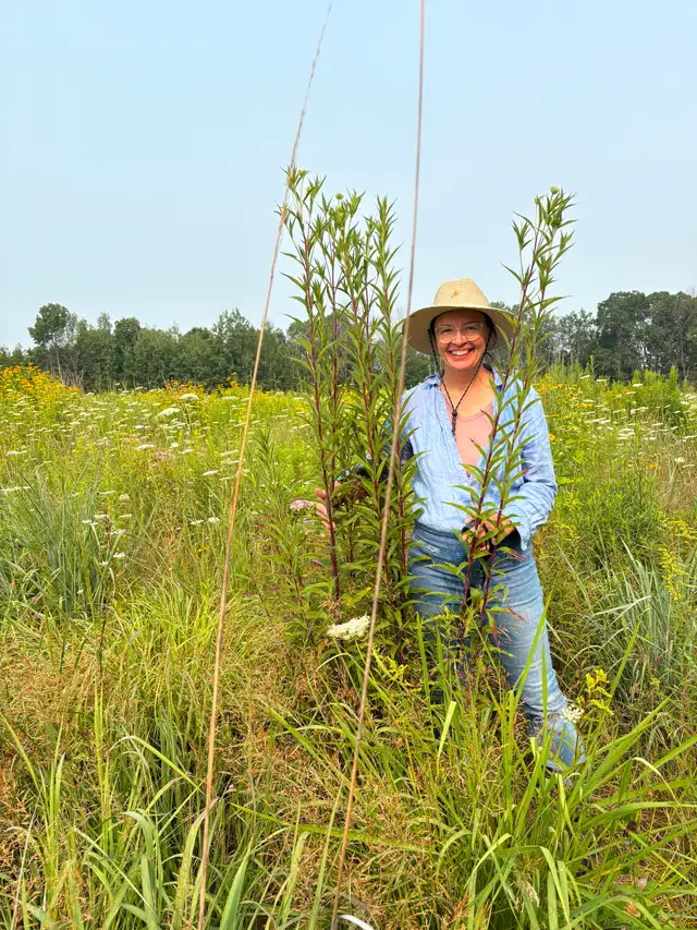 Backyard Rewilding online course at Neighbourhood Habitat School in Classes & Lessons in Belleville - Image 3
