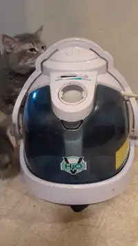 H2O vacuum