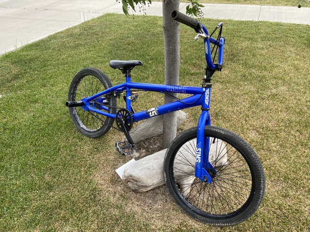 sims jr pro bmx bike