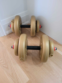 YORK DUMBBELL SET