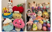 BNWT Squishmallow Collection Set