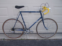Really TALL  Raleigh Concord 12-speed Racer