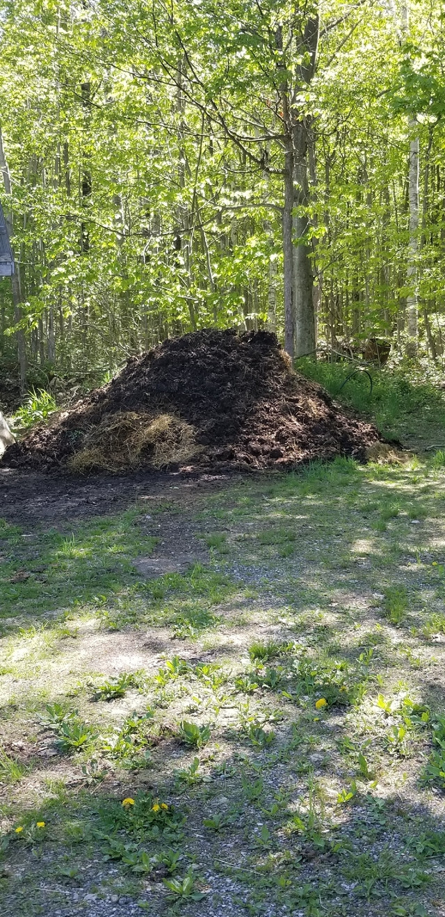 FREE MANURE in Plants, Fertilizer & Soil in Owen Sound - Image 2