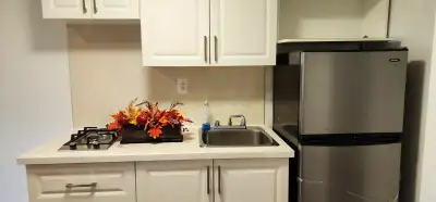 Toronto Downtown Bachelor Studio Apt Available Utility Inclusive