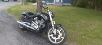 2009 Vrod Muscle