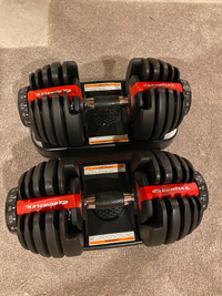 Bowflex Adjustable Dumbbells