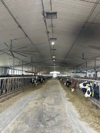 Dairy farm employment opportunity , View more