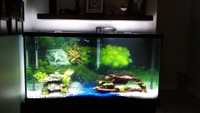75 gallon fish tank for sale comes with rocks / decorations 