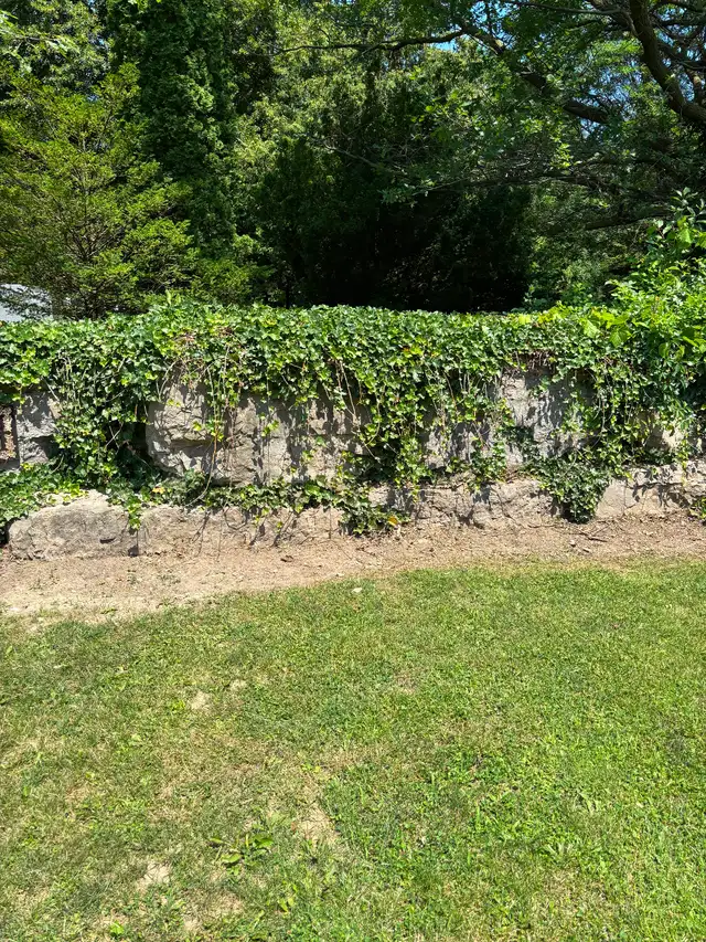 Mount Pleasant Cemetery Toronto Plots for Sale $21,000