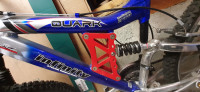 Quark Infinity Cycling Innovation