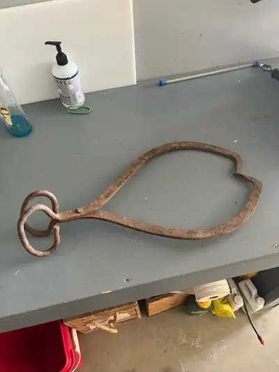 Vintage Ice Tongs, View more