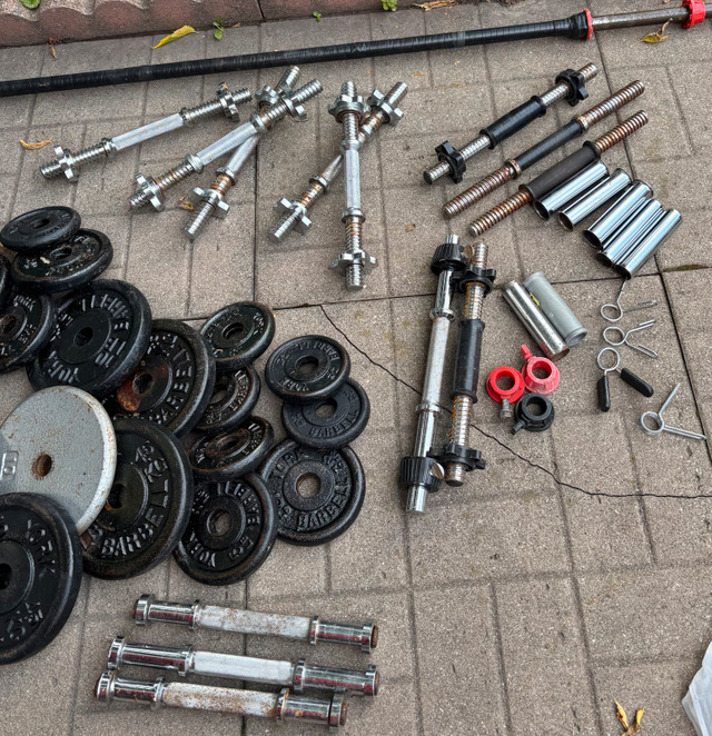 Metal Weights/Dumbells/Barbell in Exercise Equipment in Ottawa