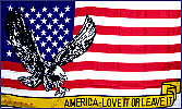 America Love It Or Leave It Flag