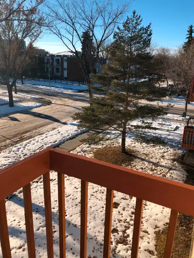 1 Bedroom w balcony near NAIT Kingsway-no smoking  no pets