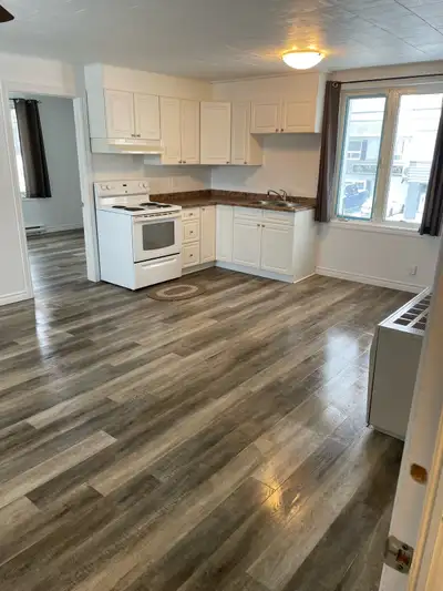 2 bedroom with private entrance! Available for May 1. Bright, spacious and newly renovated 2 Bedroom...