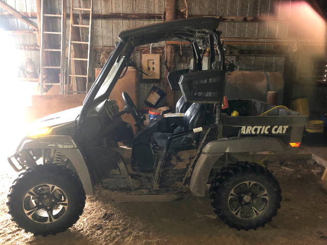 Arctic Cat Prowler Side by Side in ATVs in Hamilton - Image 3