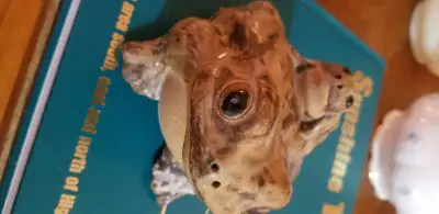 Meadowlark Park Community Hall Antique & Collectibles Sale, View more