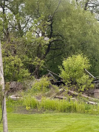 Free barn wood take it all no cherry picking want it all gone. Massive posts and beams tin still on...