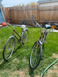 Antique Truline Bicycles
