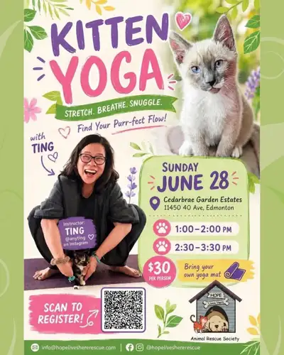 Kitten Yoga Fundraiser in Edmonton, View more