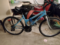 Bicycle for sale , as is on best offer
