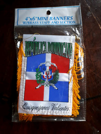 Dominican Republic Mini Banner