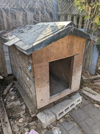 Free dog house
