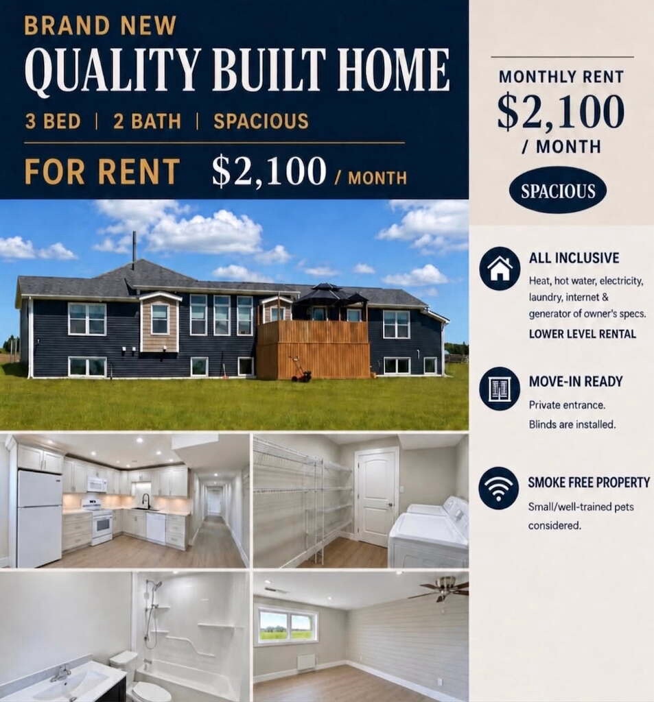 Brand New Lower Level Apartment 1
