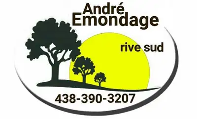 SERVICE D'ARBRES ÉMONDAGE,TAILLE DE HAIE ÉLAGAGE, View more
