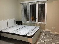 Master Bedroom with private washroom on 3rd Floor for rent