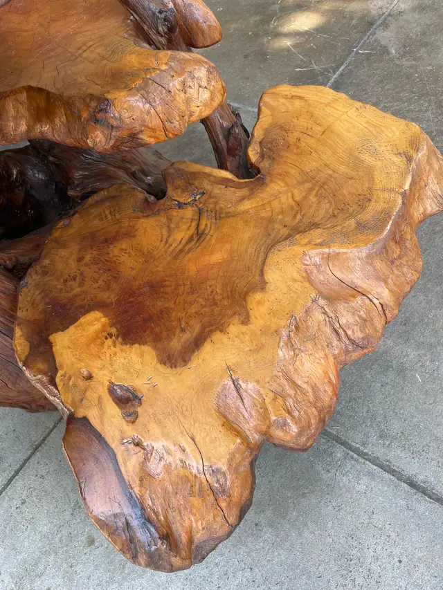 Unique Teak Root Display Stand in Outdoor Décor in Kamloops - Image 8
