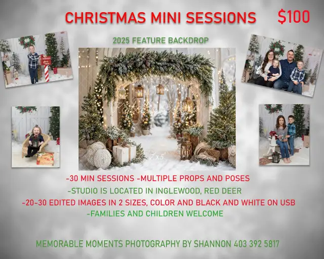 Christmas Minis in Events in Red Deer - Image 2