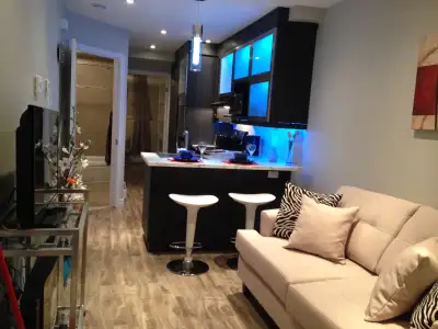 One bedroom furnished Modern ground level apt.Downtown. Washer/dryer/fridge and stove inc. Has patio...