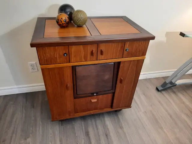 Very Cool High End Cabinet **SOLD** in Hutches & Display Cabinets in Kingston - Image 4