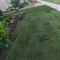 New Sod Installation &  Landscaping services Available Now!