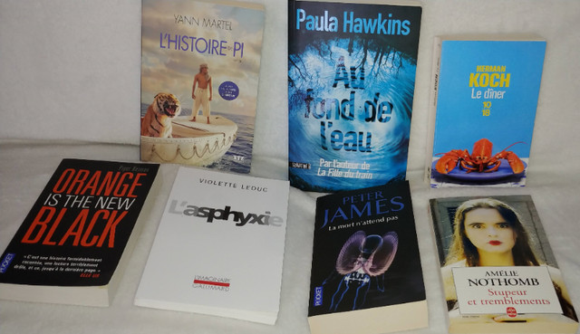 Lot de livres en français - Lot 7 dans Ouvrages de fiction  à Longueuil/Rive Sud