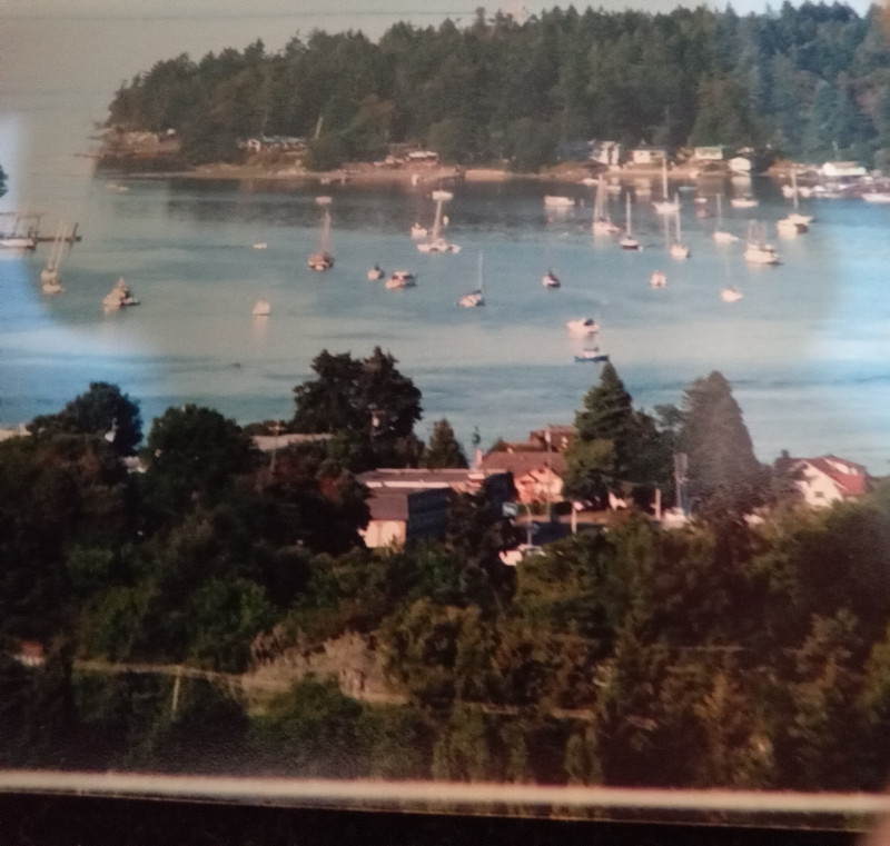 Spectacular 1 Bed / 1 Bathroom Suite near VIU Long Term Rentals