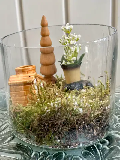 plant terrariums, View more