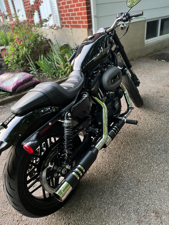 Harley Davidson Roadster 1200 cc dans Utilitaires et de promenade  à Trois-Rivières - Image 3