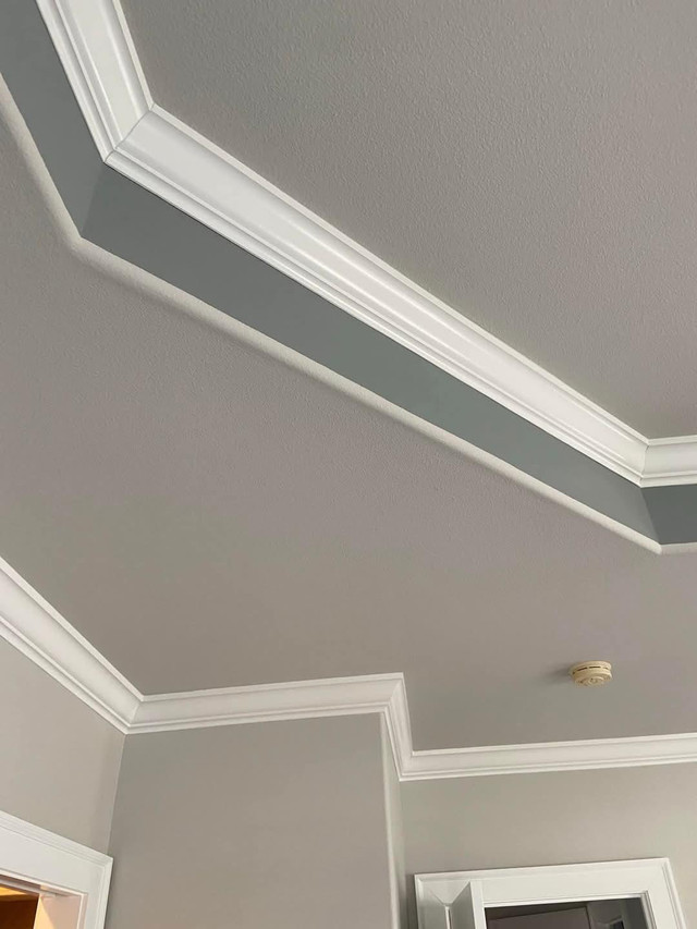 Pro Painter taking on more work in Construction & Trades in Ottawa - Image 4