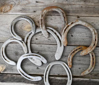 Horse Shoes