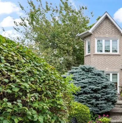 WANTED: tree cutter above 2 storey house, View more