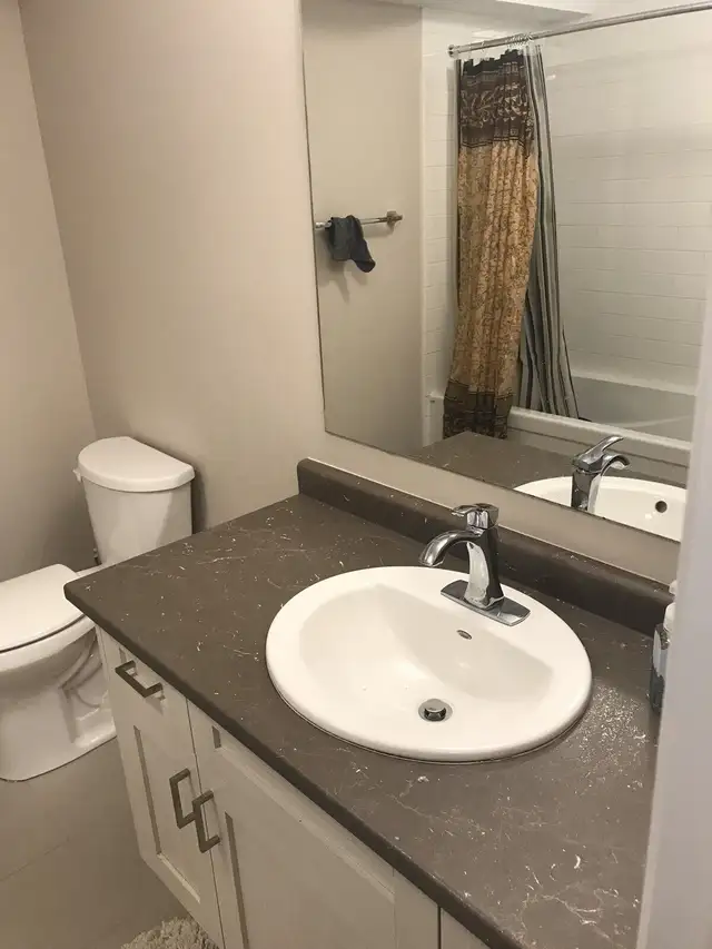 Beautiful Lookout Basement Apartment for Rent in Long Term Rentals in Kitchener / Waterloo - Image 5