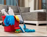 Profesional cleaning servise