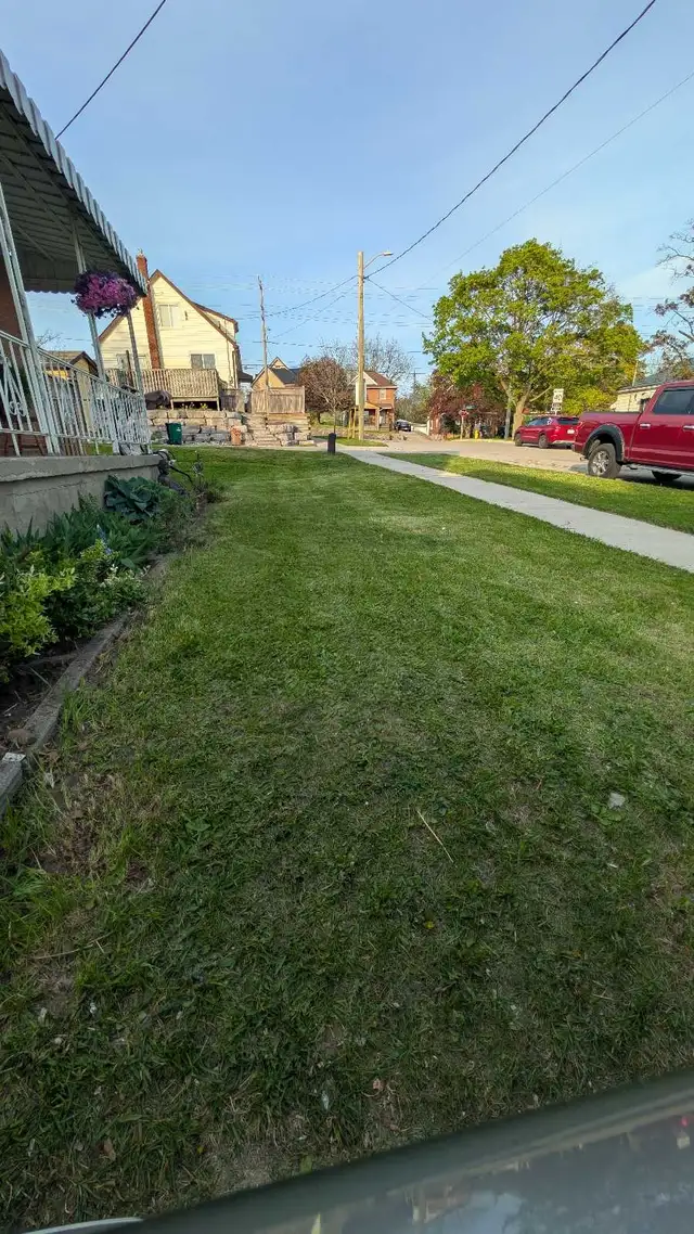 Lawn Care in Lawnmowers & Leaf Blowers in Kitchener / Waterloo - Image 2